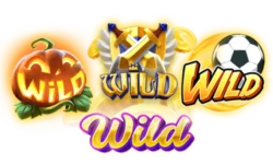 wild - betflik4u สล็อตออนไลน์